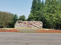 -东平国家森林公园