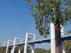 -东莞植物园