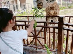 -灵玲国际马戏城