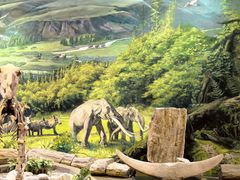 -陕西自然博物馆