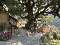 -杨家堂村