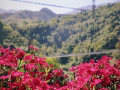 -篁岭景区