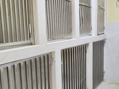 -狗不理喵子(百富路店)
