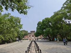 -北陵公园
