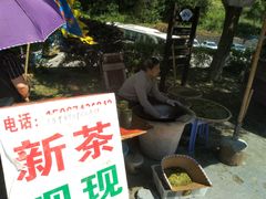 -宁波五龙潭景区