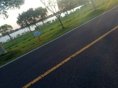 -漕湖湿地公园
