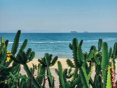 -大梅沙海滨公园