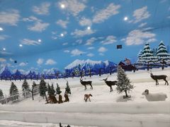-世界之窗阿尔卑斯冰雪世界