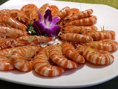 -顺轩海鲜火锅酒家