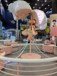 点击看大图 -北京科学中心儿童乐园