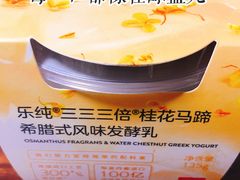 桂花马蹄三三三倍酸奶-乐纯(苹果社区店)