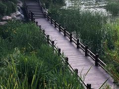 -大连植物园