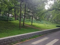 -元大都城垣遗址公园