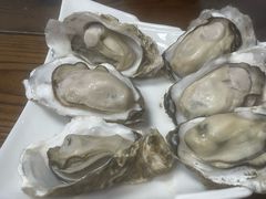 -鲁前海沿儿