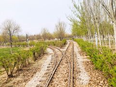 -西青郊野公园