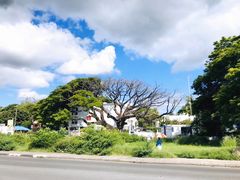 -塞尔夫岛