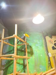 -Zoolung Zoolung动物主题公园(海信广场店)