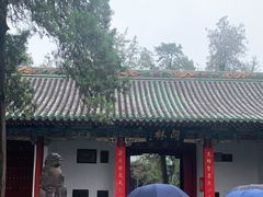 -关林