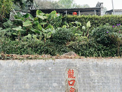 -广州市帽峰山景区