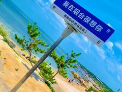 -养马岛旅游度假区
