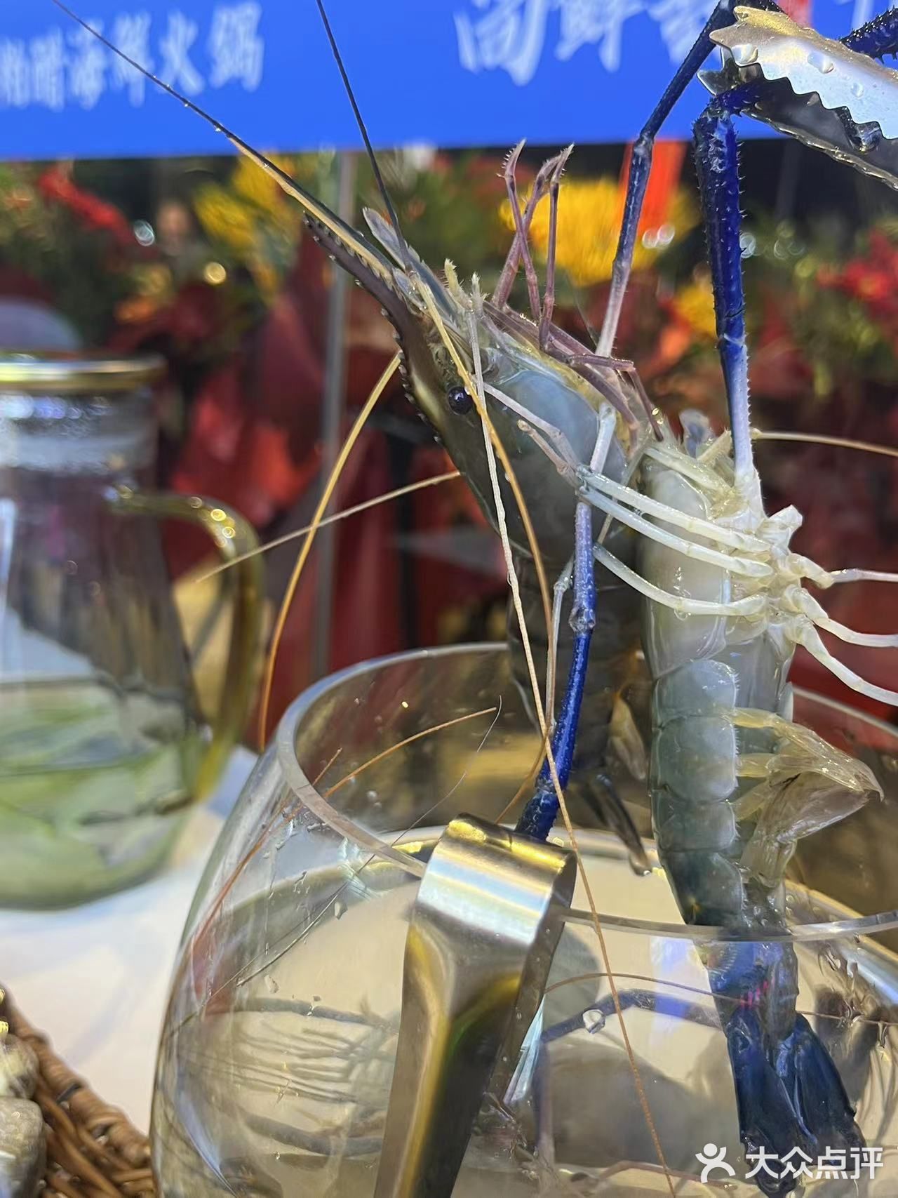 长沙新开的超好吃海鲜火锅店