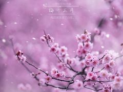-白塘生态植物园