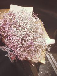 -Hair Code芭曲发型
