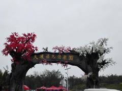 -天适樱花悠乐园