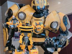 -AMG海上明珠影城(上海环球港RealDCinema店)