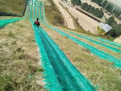 -古柏渡飞黄旅游区