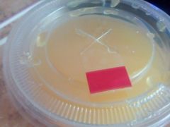 美年达-德克士(北大街店)