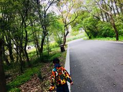 -同里国家湿地公园