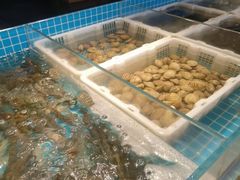 -长沙芙蓉国温德姆至尊豪廷大酒店-自助餐厅