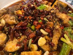 太安鱼-辛记豆汤家常菜(芳草街店)