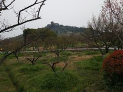 -白马涧龙池景区