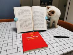 -Bastet sally猫舍购宠(静安店)