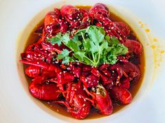 -成都天府丽都喜来登饭店