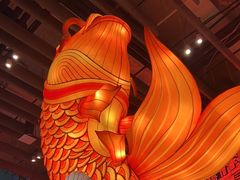 -天辣(金桥啦啦宝都店)