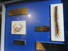 -上海昆虫博物馆