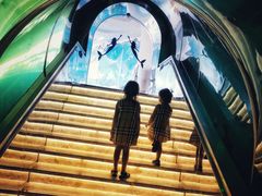 -瑞德姆美人鱼海底演艺主题餐厅(亚龙湾店)