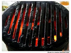 刷满油的小篦子和炭火炉子-大槐树烤肉馆