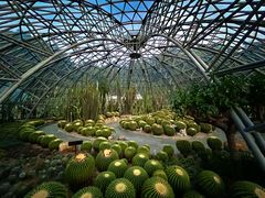 -深圳仙湖植物园