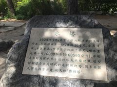 -博雅塔