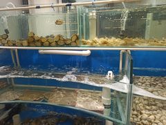 -四海蒸鲜蒸汽海鲜自助(北戴河店)