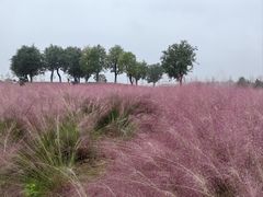 -汉长安城未央宫国家考古遗址公园