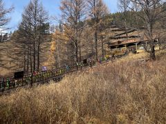 -莫尔道嘎国家森林公园