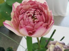 -上海植物园-4号门售票处