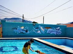 -趣玩宠物乐园寄养训犬训狗游泳池
