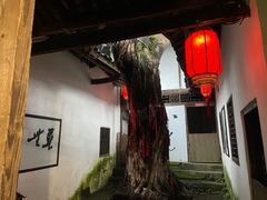 -尧坝古镇