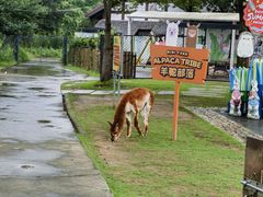 -太阳岛旅游度假区